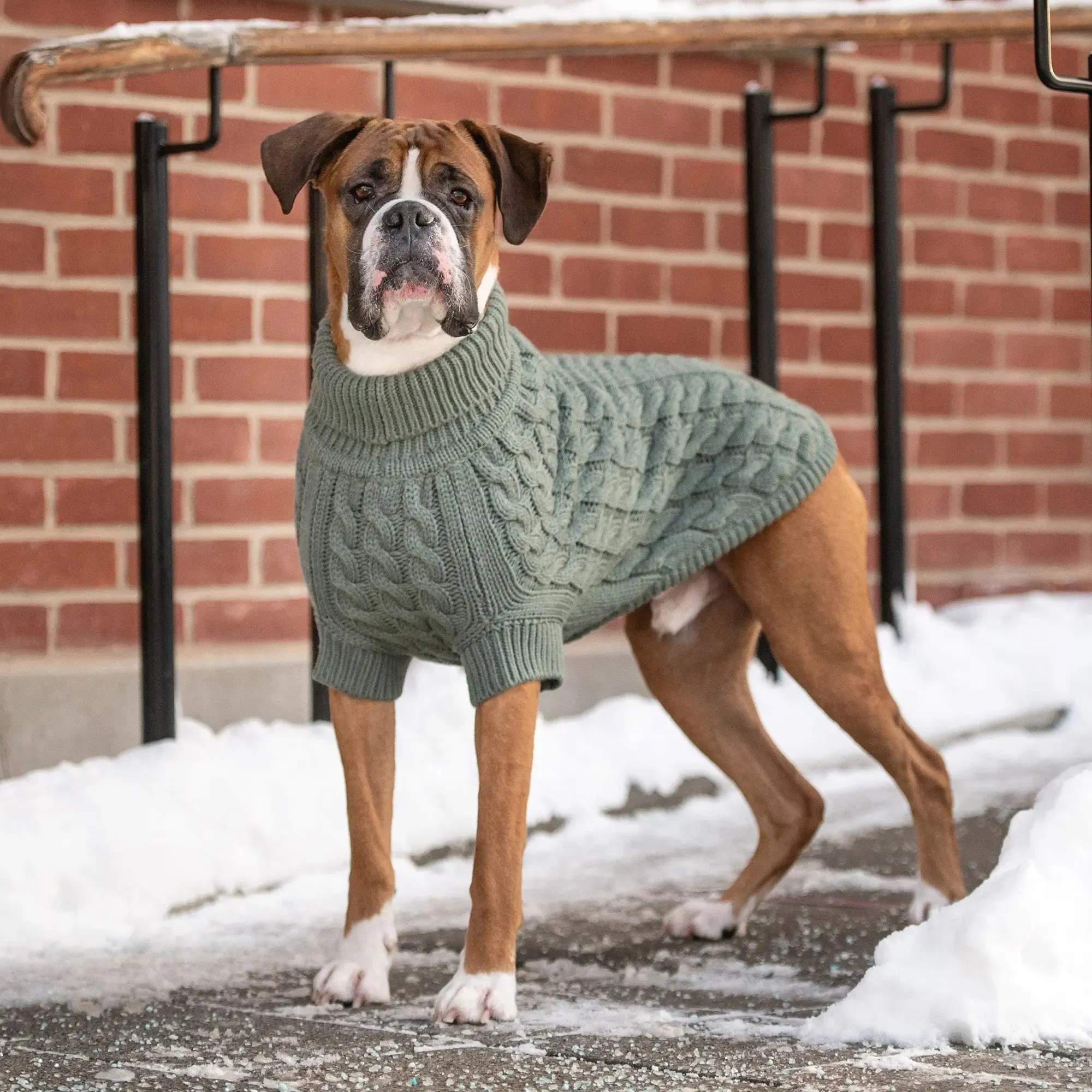 Chalet Dog Sweater | Sage