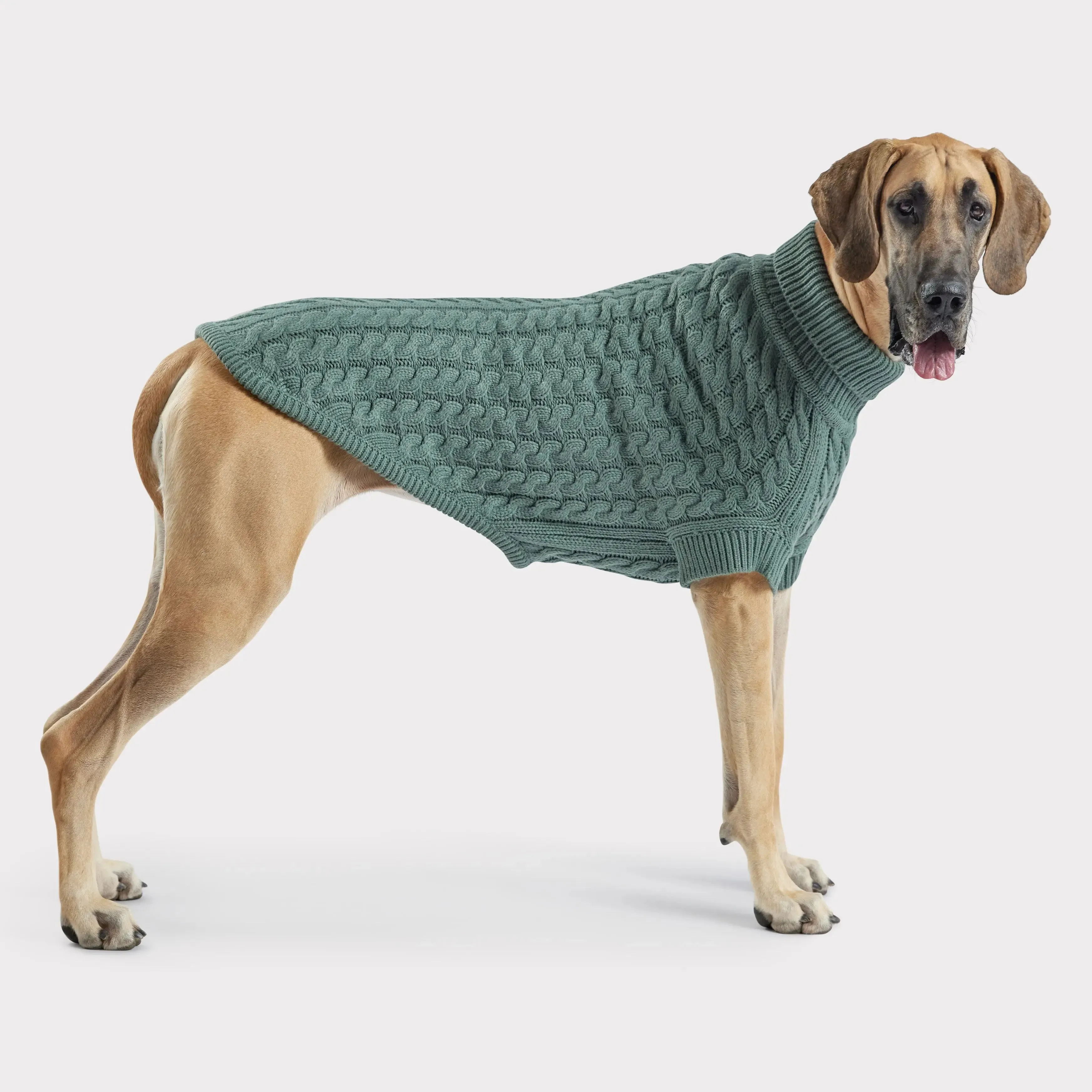 Chalet Dog Sweater | Sage