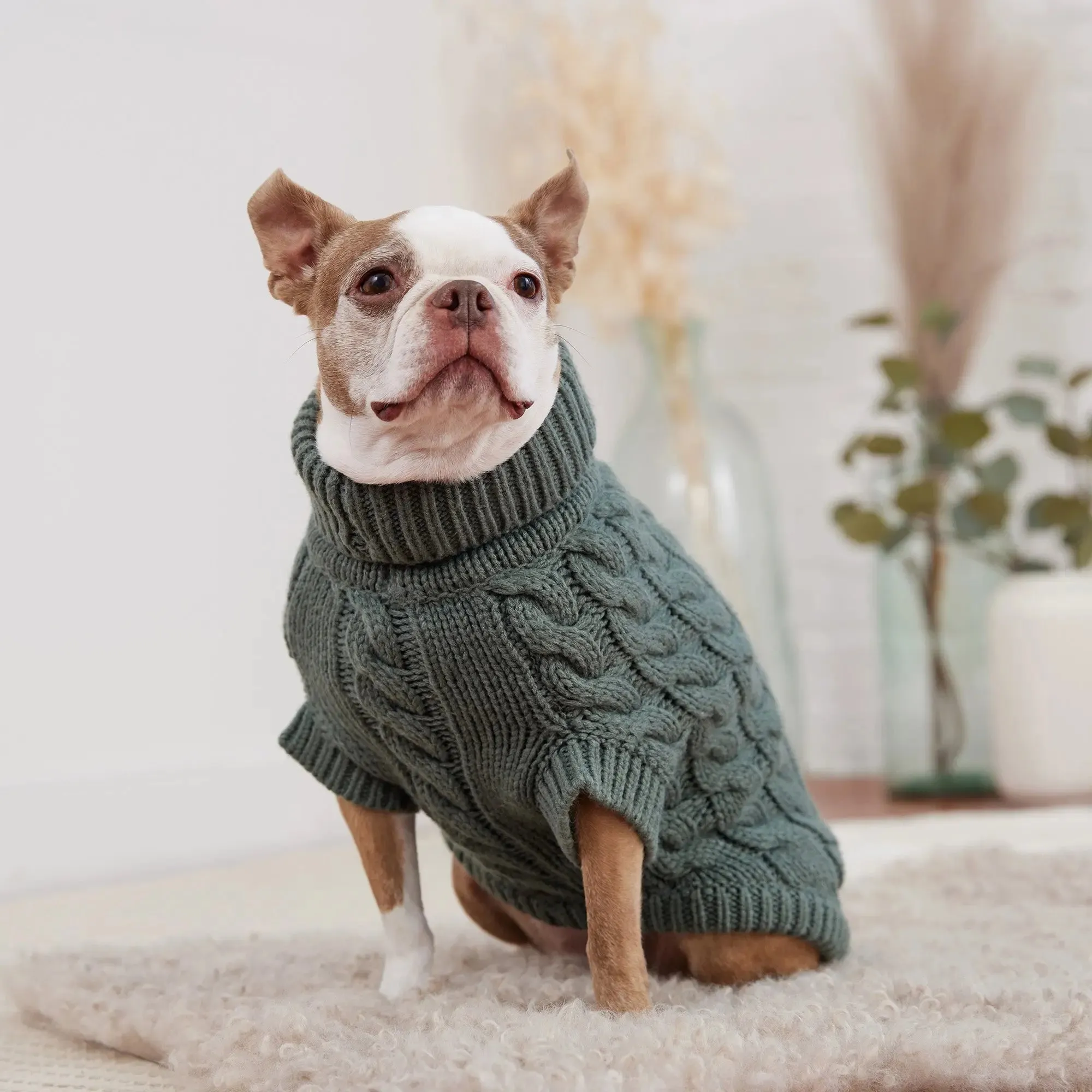 Chalet Dog Sweater | Sage