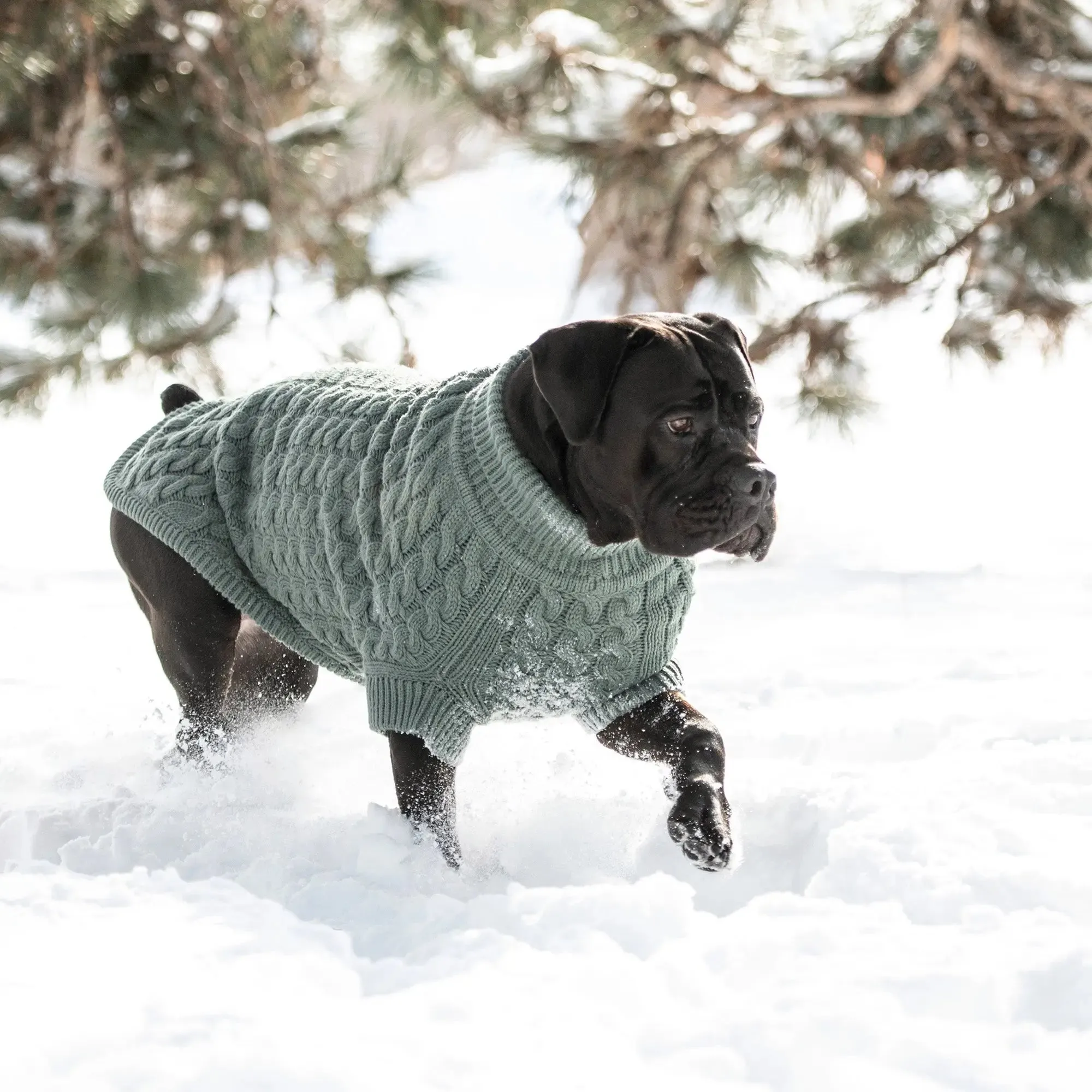 Chalet Dog Sweater | Sage