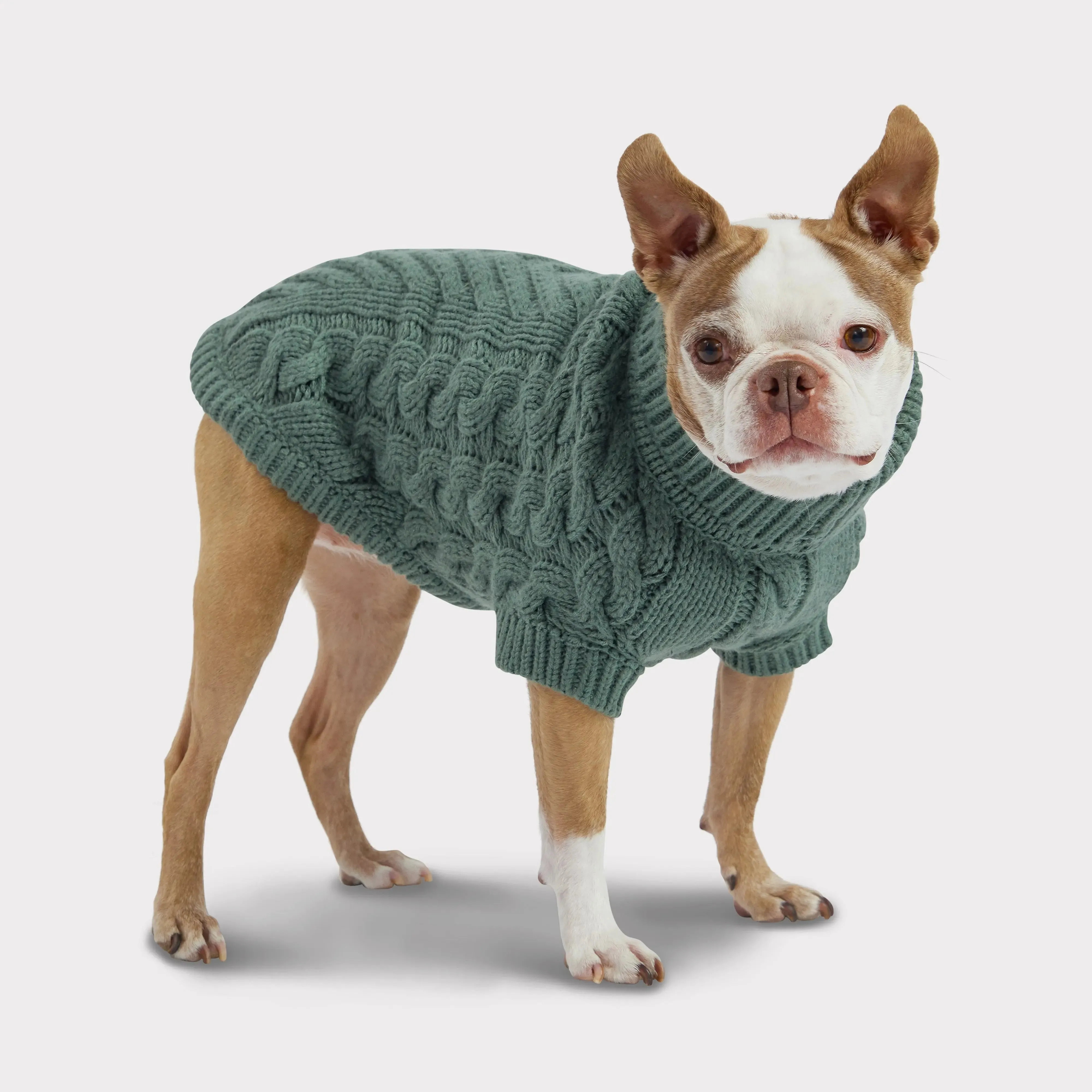 Chalet Dog Sweater | Sage