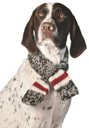 Chilly Dog Boyfriend Scarf