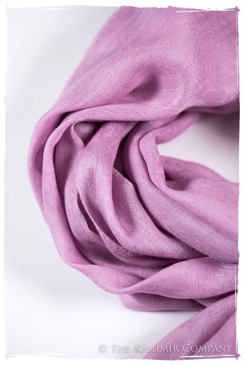 Lilac Chiffon Paisley Kashmir Wool Scarf